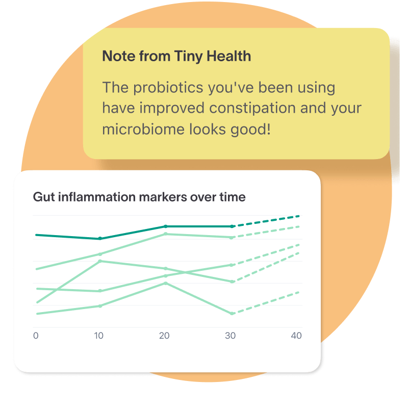 Adult Gut Health Test Tiny Health